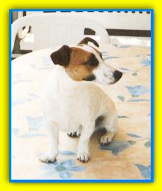 Jack
