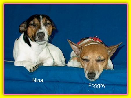 Fogghy e Nina