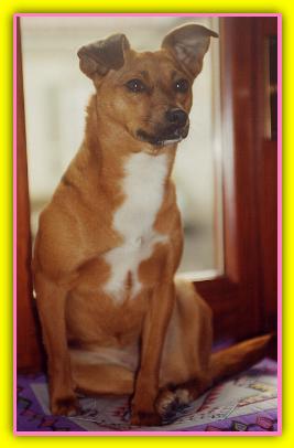 Tilde