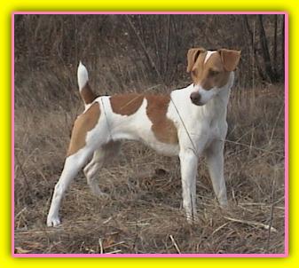 Panna 