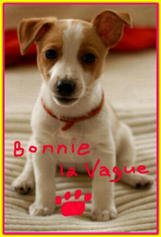 Bonnie La Vague, Jack Russell Terriers