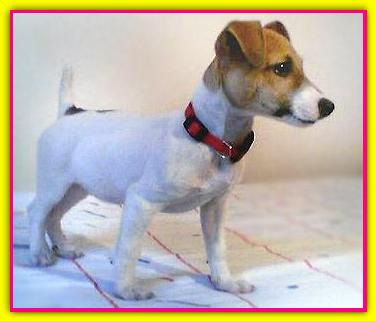Laila Star, Jack Russell Terriers