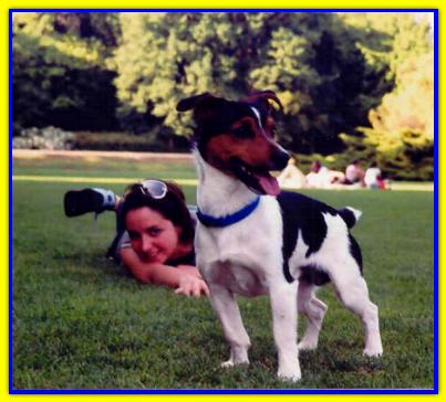 Snoopy, Jack Russell Terrriers