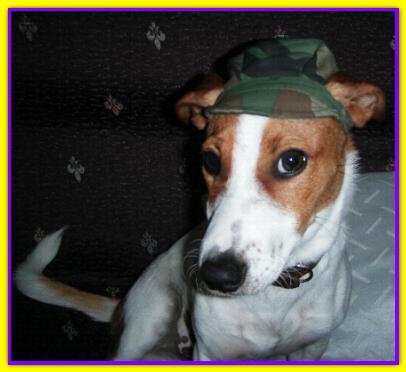 Pacey, Jack Russell