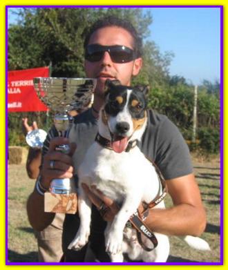 Harley, Jack Russell