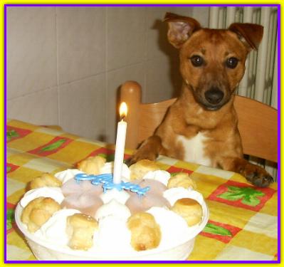 Yuri, Jack Russell