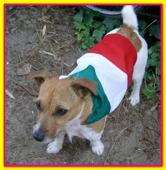 Gilda, Jack Russell