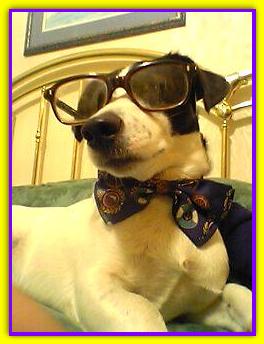 Plun Cake, Jack Russell