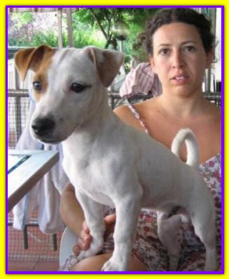 Charlie, Jack Russell