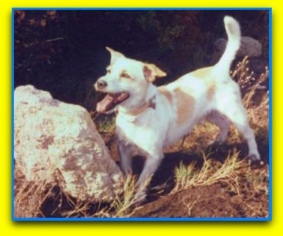 Max3.jpg (26269 byte)