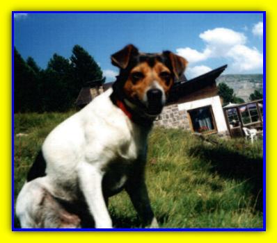 billy2.jpg (24163 byte)