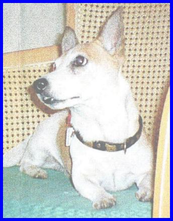 Charlie