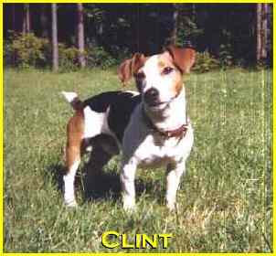 clint1.jpg (12079 bytes)