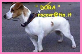 DORA