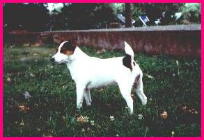 Jaqueline