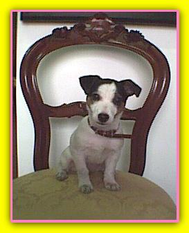 Matilde