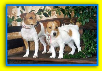 Molly e Olga
