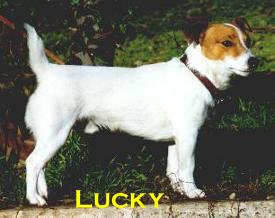 new-lucky1.JPG (12982 bytes)