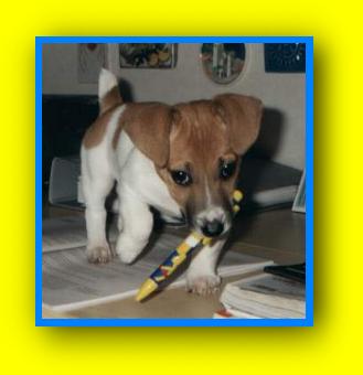 Troppo bello!