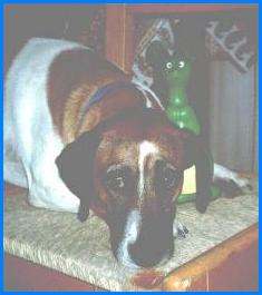Tobia
