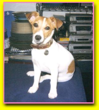 Trudy